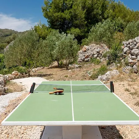 Stone House Prapatna Hébergement de vacances Smokvica (Korcula)